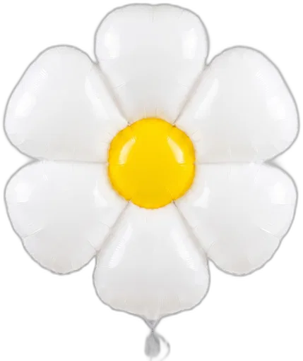 White Daisy · 34"