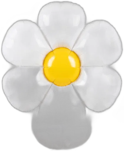 Giant Daisy